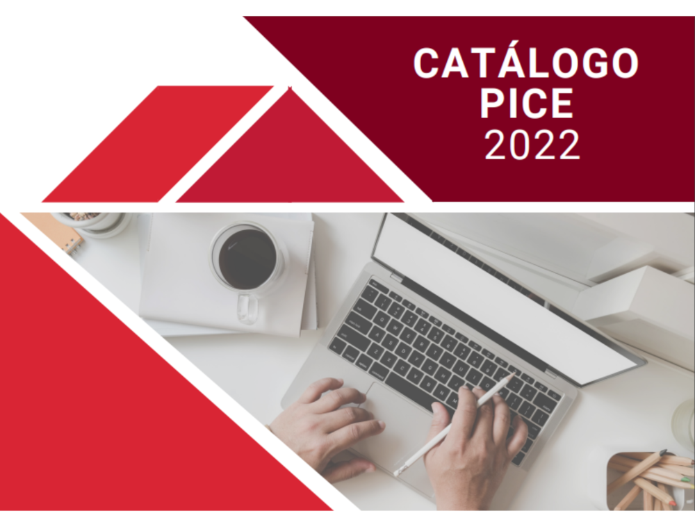 Catalogo PICE online 2022